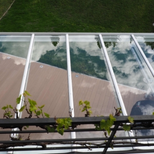 Blick durch Alu-Terrassendach mit VSG-Klarglas